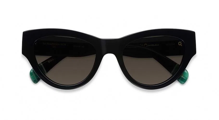 Etnia Barcelona Vintage SA FARNERA SUN Sunglasses - view 4